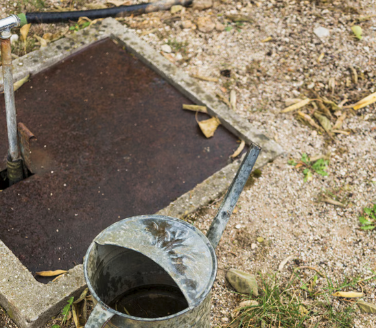 Septic tank bio